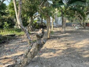 nha-dat-can-tho-1-366m2-dat-thuoc-kv-thanh-hoa-p-thuong-thanh-cai-rang-can-tho (4)