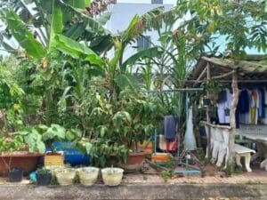 nha-dat-can-tho-can-nha-tret-lau-2-giay-rieng-co-the-tach-lam-2-can-cot-rieng-hem-160-tam-vu (4)