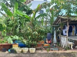 nha-dat-can-tho-cap-b6-phu-an-huong-tay-nam (2)
