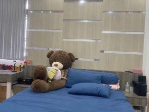 Bán nhà trệt 3 lầu số đường A10 KDC Hưng Phú (nc) - Ảnh 4