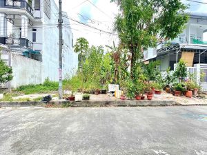 BÁN NỀN ĐƯỜNG 11 KDC DIỆU HIỀN, PHÚ THỨ, CÁI RĂNG, CẦN THƠ - Ảnh 2
